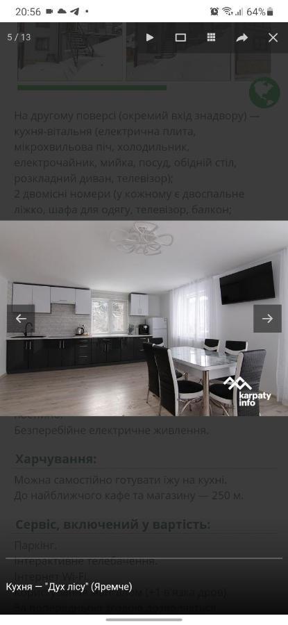 ヤレムチャ Дух Лісуヴィラ エクステリア 写真